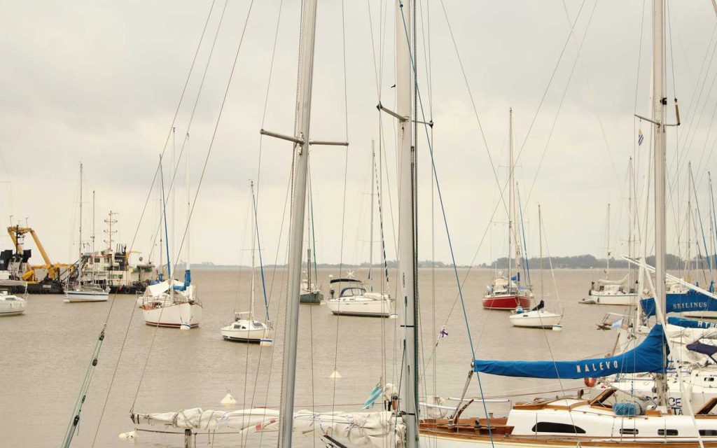 colonia2