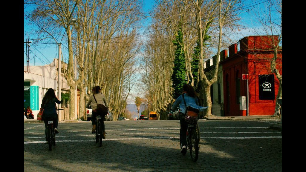Colonia (11)