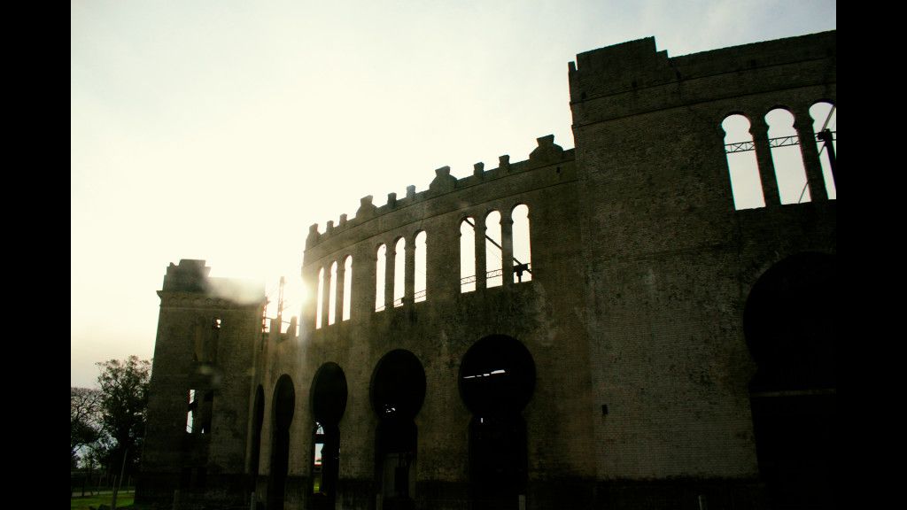 Colonia (13)