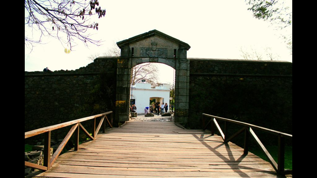 Colonia (14)