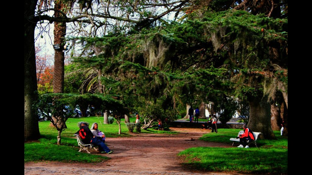 Colonia (16)