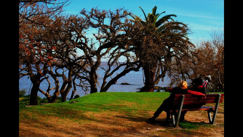 Colonia (3)