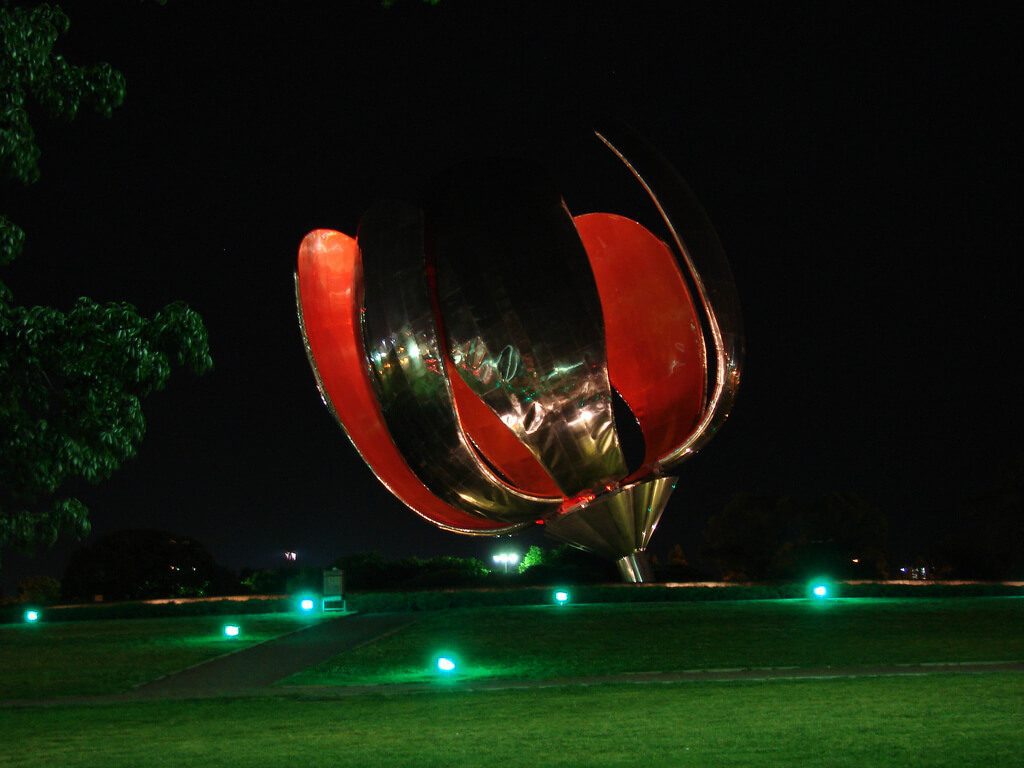 Flor_recoleta (4)