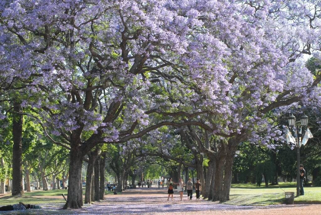 9_Palermo_primavera