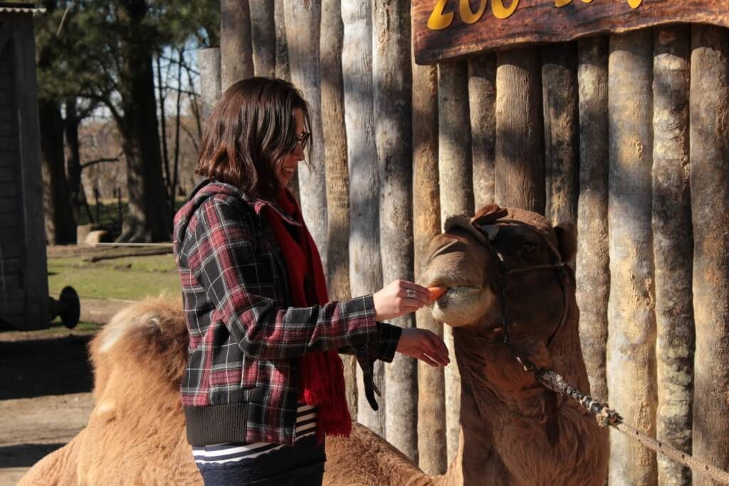 zoo_lujan10