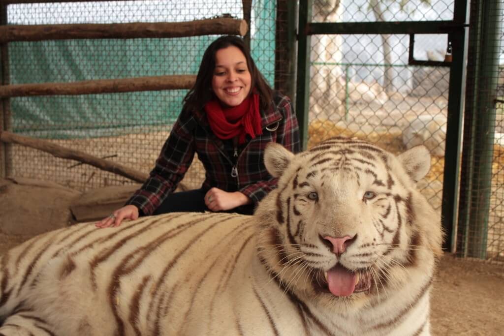 zoo_lujan3