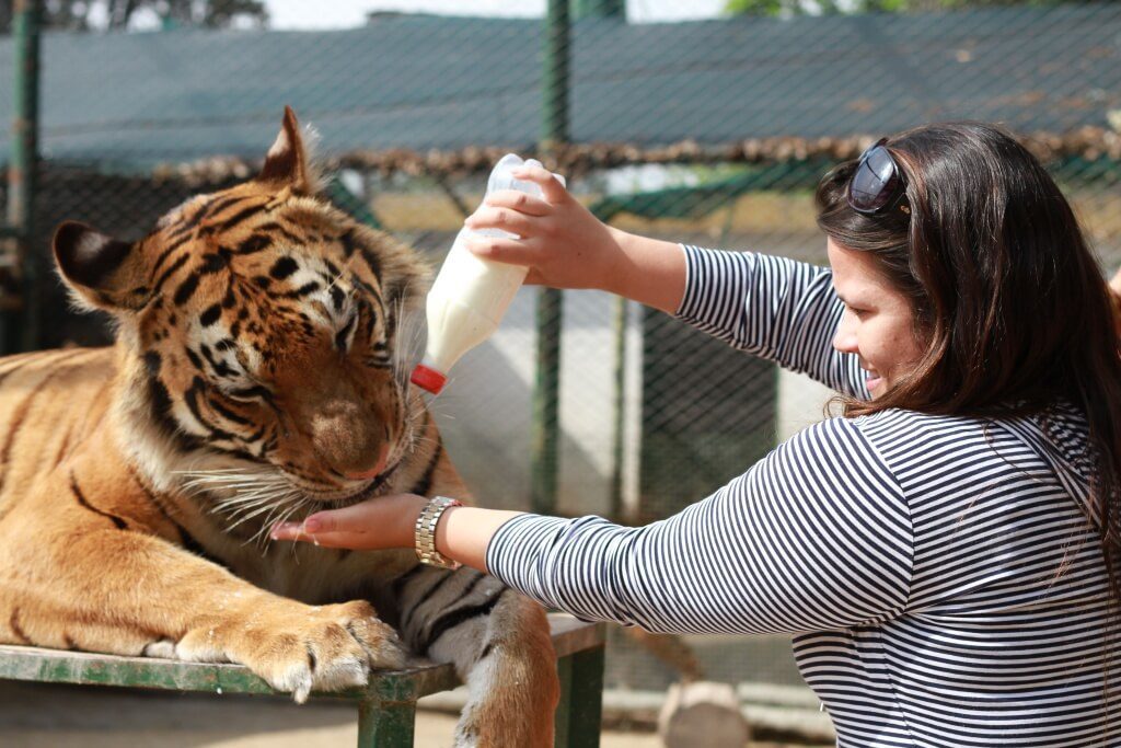 zoo_lujan6