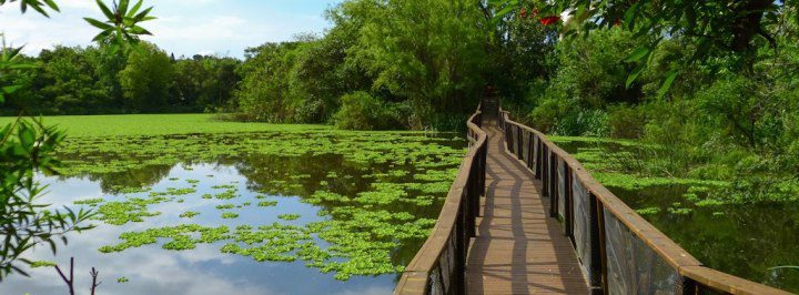 Reserva-ecologica-buenos-aires (6)