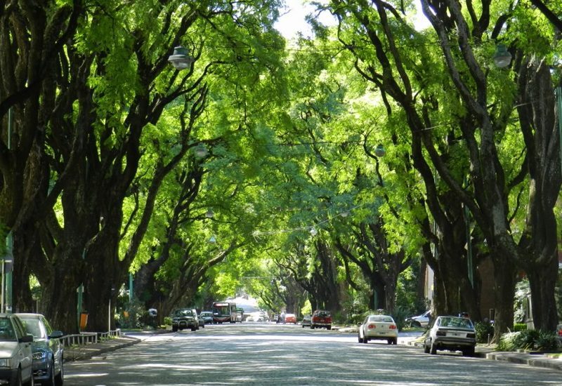 rua-tipica Belgrano e suas ruas