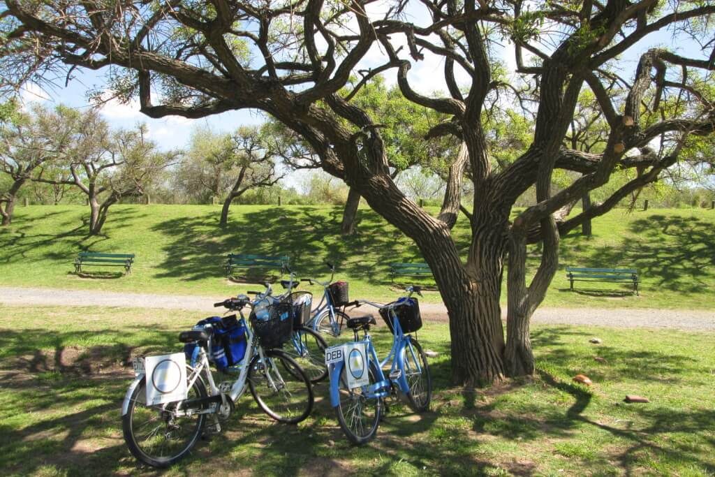 6_bike
