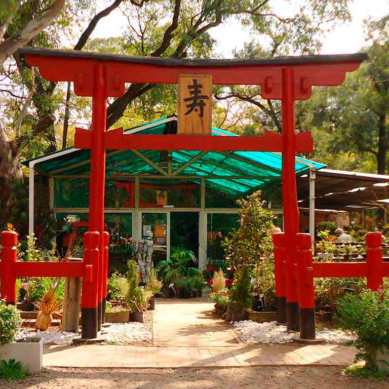 Jardim_japones (6)