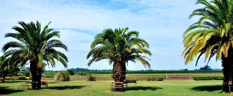 paisagem-santa-susana