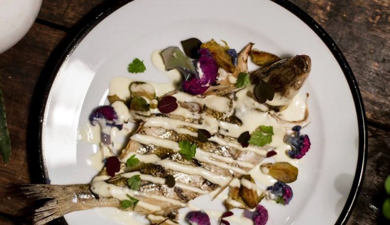 catalino restaurante orgânico em Buenos Aires