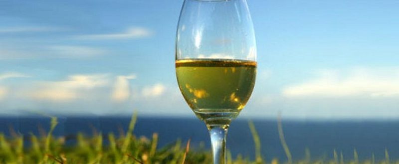 vino-verano torrontes