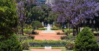 janeiro de 2019 em Buenos Aires-Bosques-de-Palermo-destaque