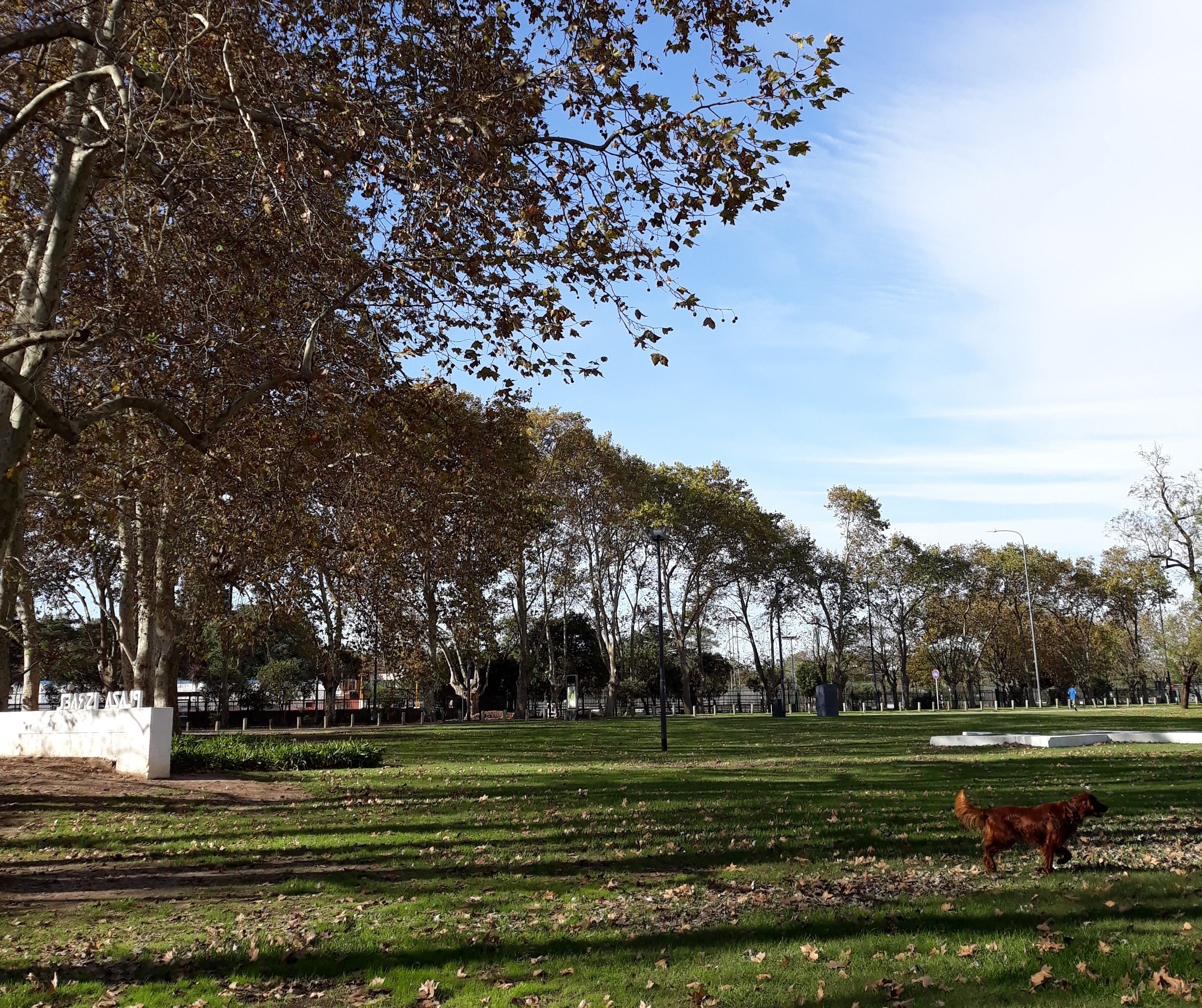 bosques