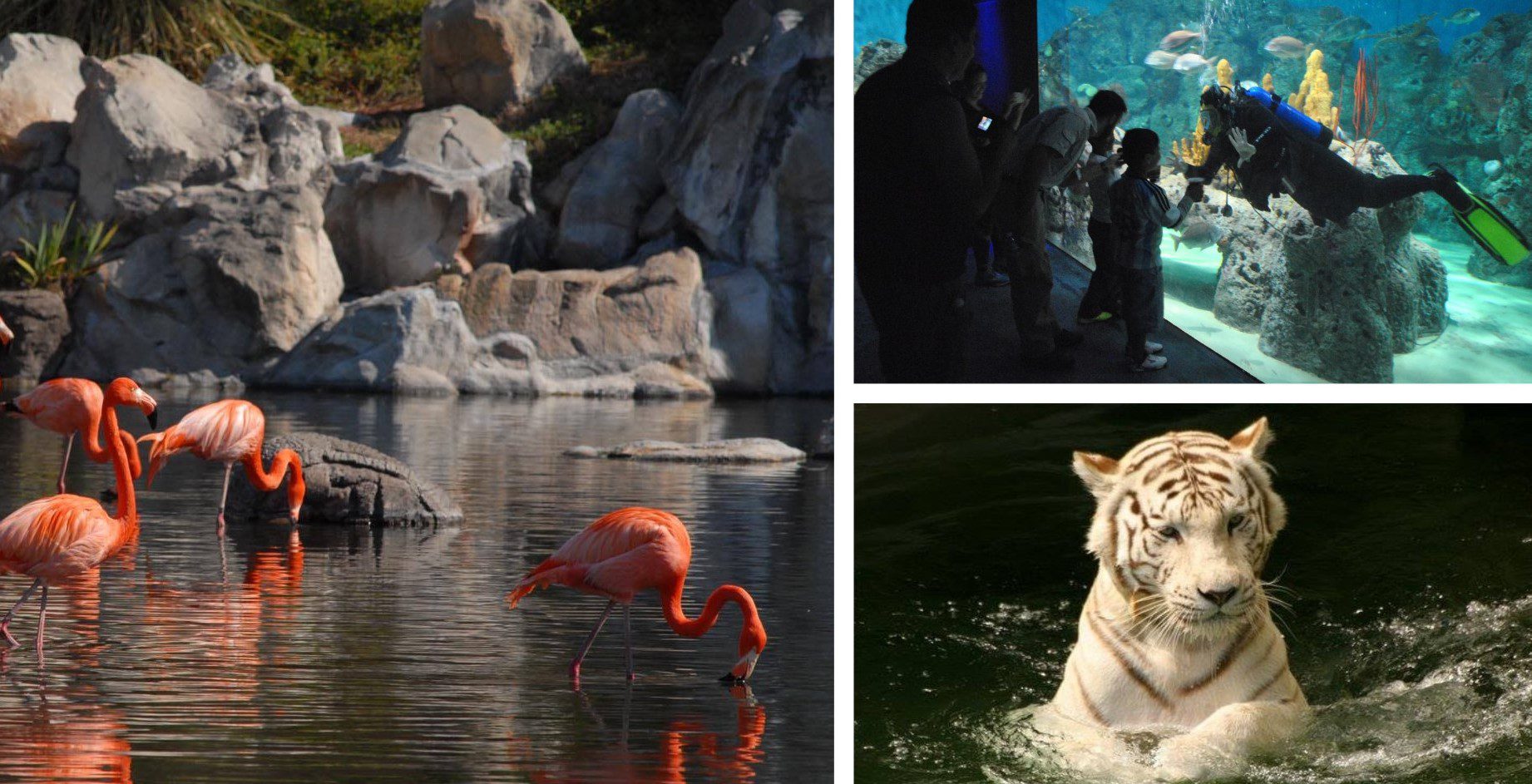 zoos