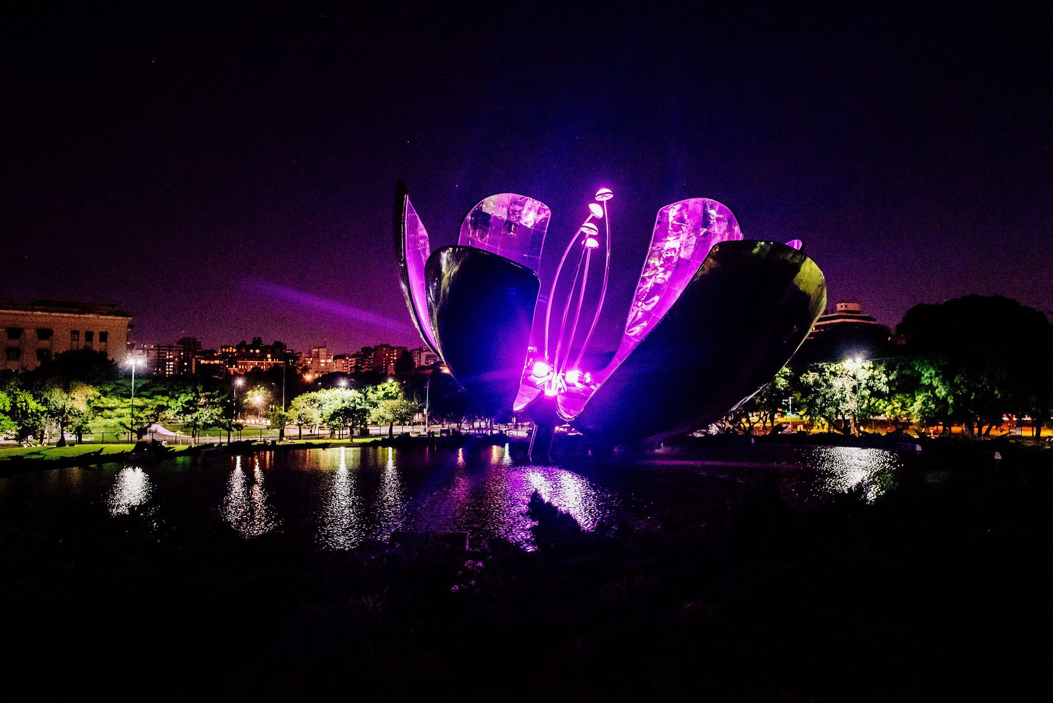 FLORALIS GENERICA 3 Adriana Carolina PONTOS TURISTICOS EM BUENOS AIRES